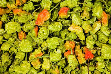 《死亡回归》开发商Housemarque增至110人 开发下一个PS5独占